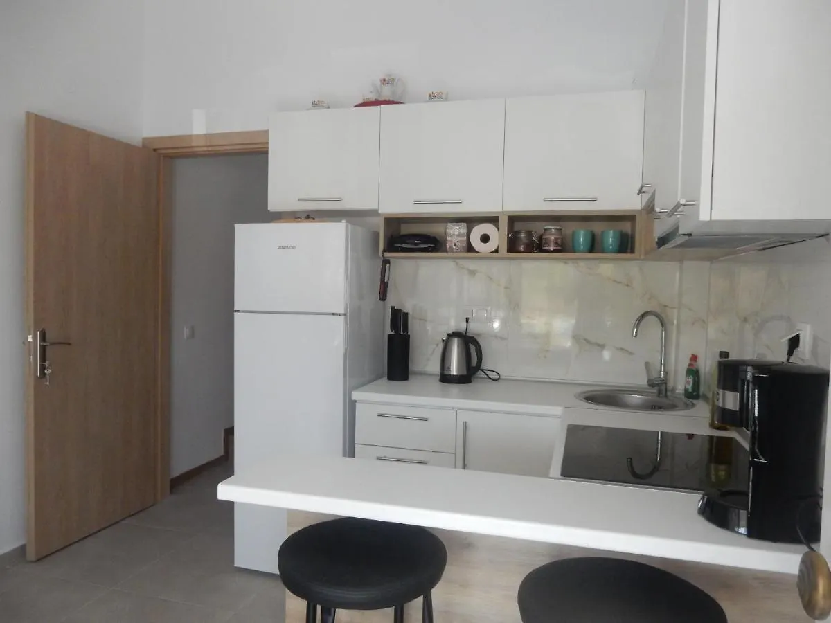 Holiday home Flamingo Villa Hanioti Greece